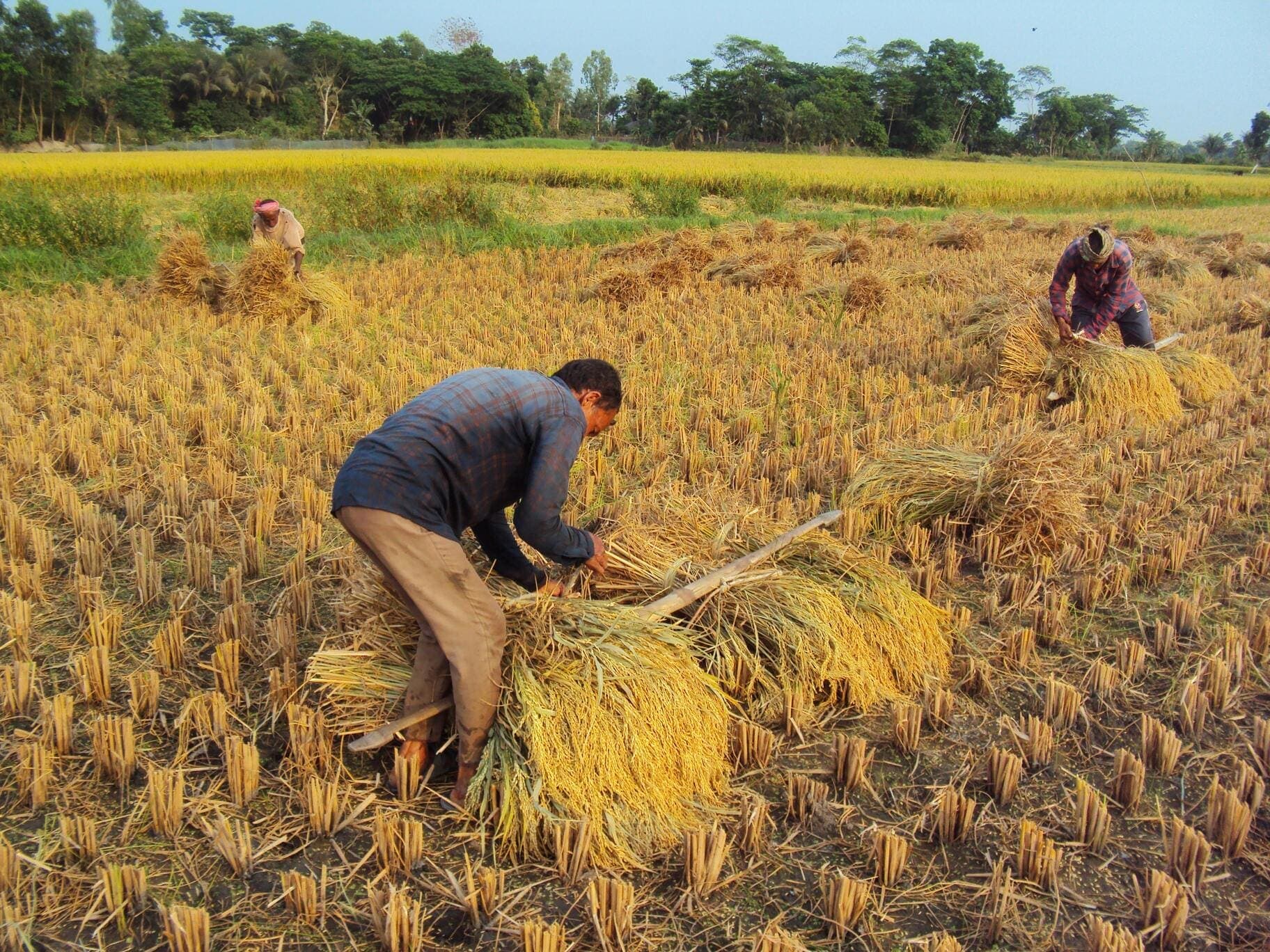 Organic Farming Science and Benefits