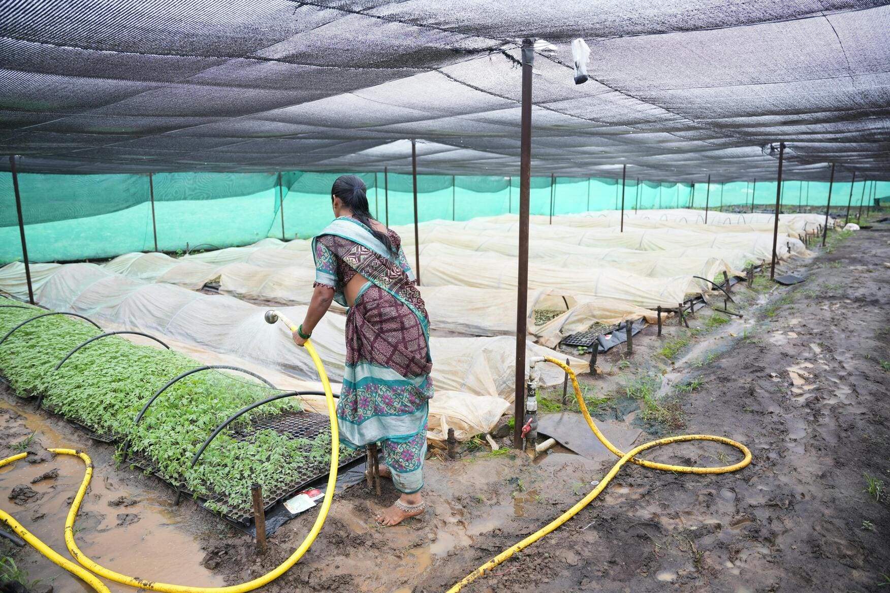 Farm Setup Service
