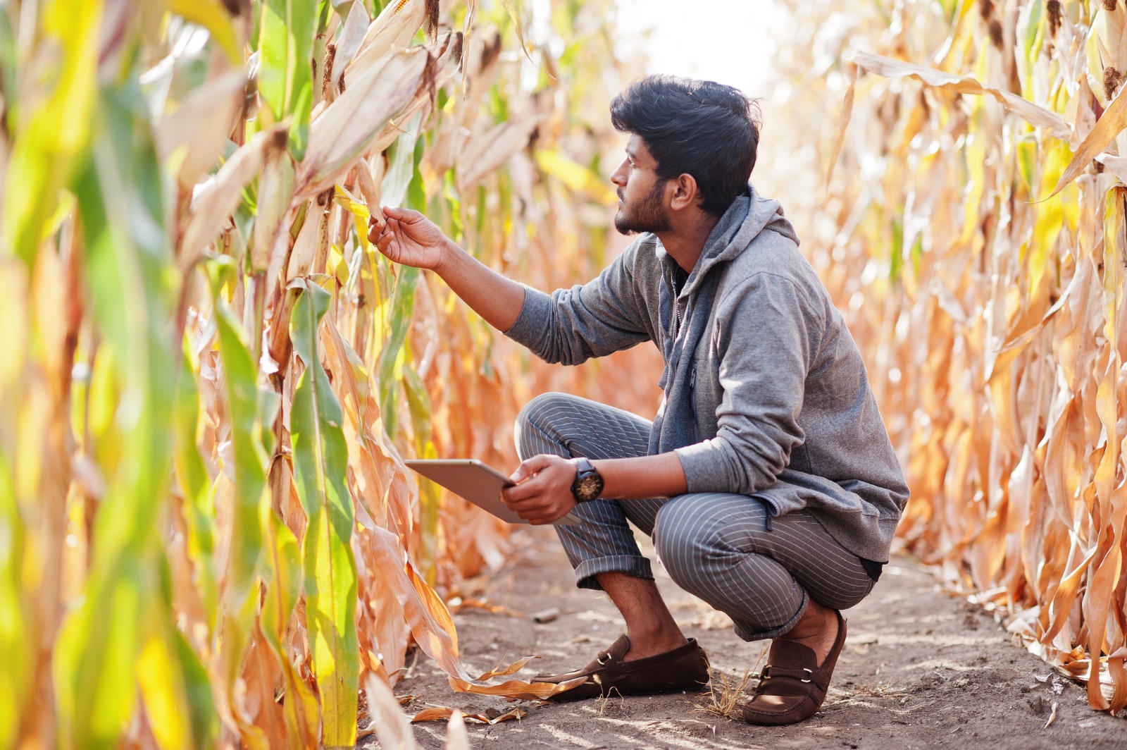 Internship for Agriculture Students
